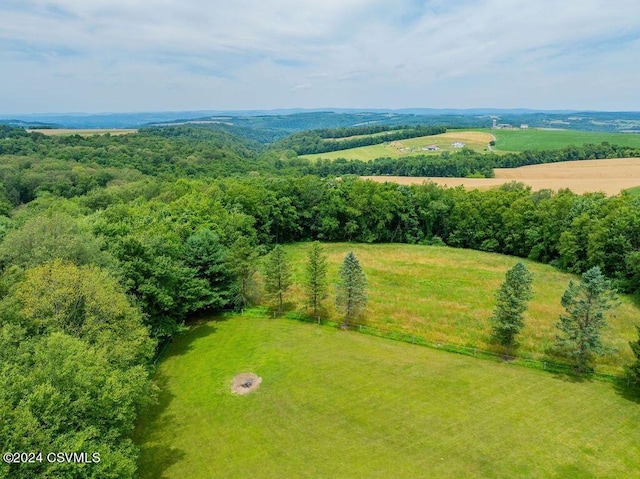 449 Ridge Rd, Muncy, PA 17756 - photo 57