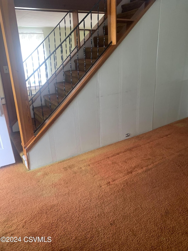 stairway with carpet flooring