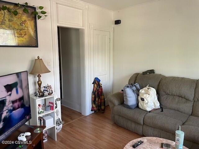 living room with light wood-type flooring