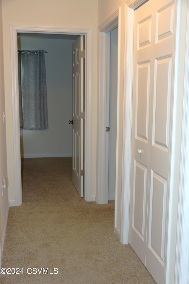 hallway with carpet