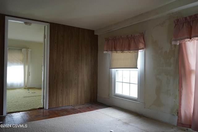 carpeted empty room with wooden walls