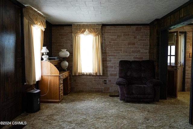 sitting room featuring carpet flooring, plenty of natural light, and brick wall