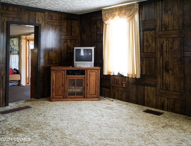 carpeted living room with a textured ceiling and wooden walls