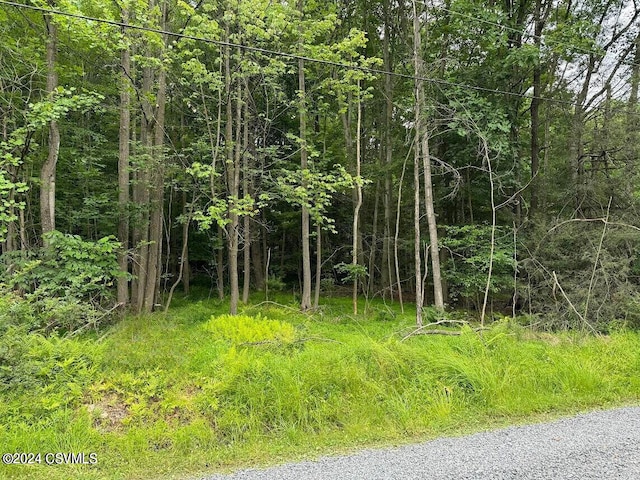 Laurel Run Rd, Shickshinny, PA 18655