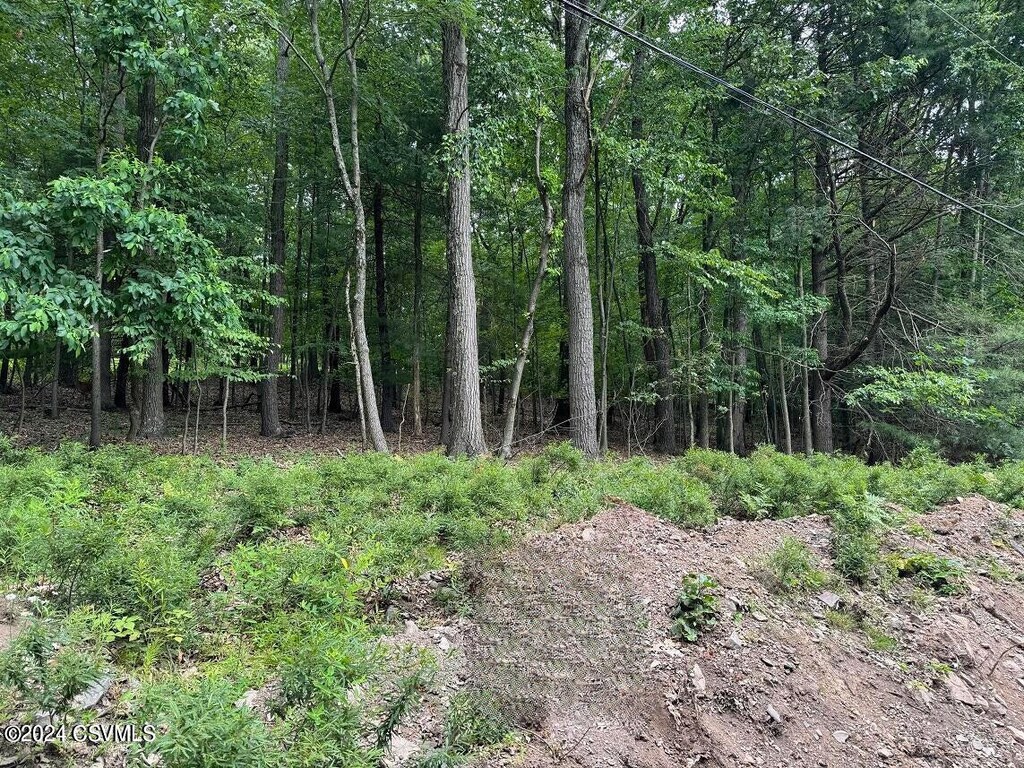 Hemlock Springs Dr, Shickshinny, PA 18655 - photo 1