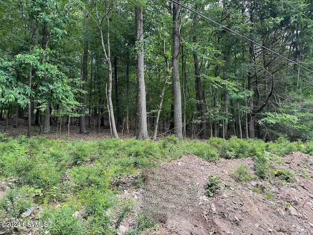Hemlock Springs Dr, Shickshinny, PA 18655