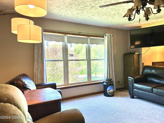 living room featuring carpet and a textured ceiling