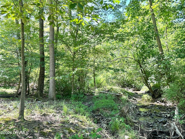 view of landscape