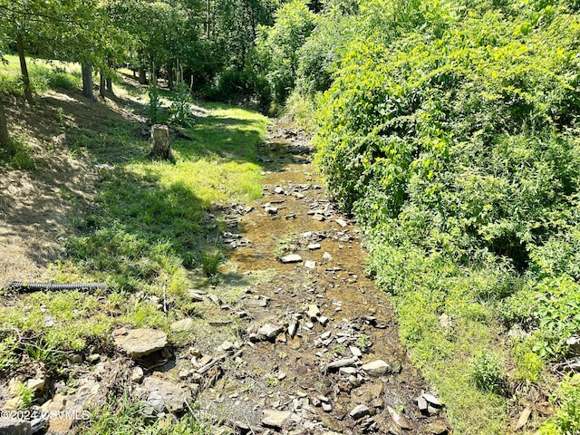 view of local wilderness featuring a water view