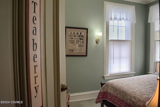 bedroom with multiple windows