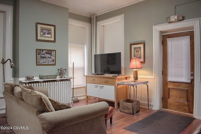 living room featuring radiator, light hardwood / wood-style flooring, and crown molding