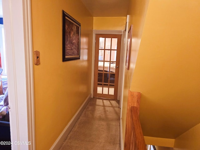 corridor featuring carpet floors