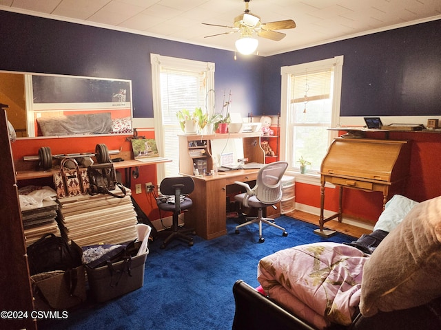 home office featuring a wealth of natural light, ceiling fan, and crown molding