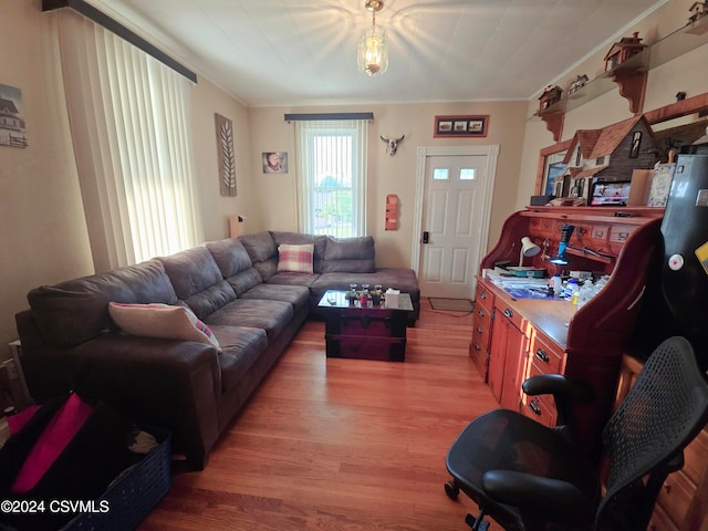 living room with hardwood / wood-style flooring