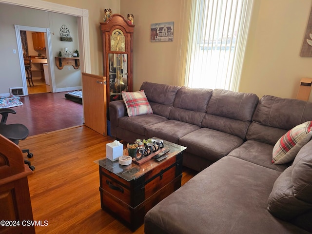 living room with wood-type flooring