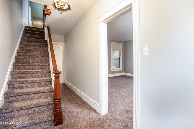 stairway featuring carpet flooring