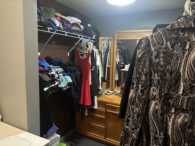 view of walk in closet