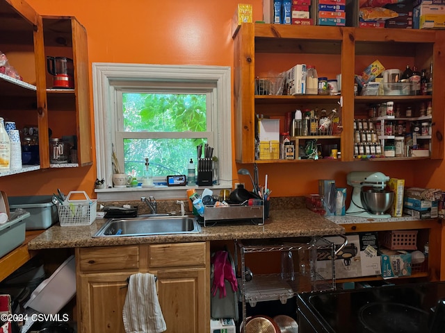 kitchen featuring sink