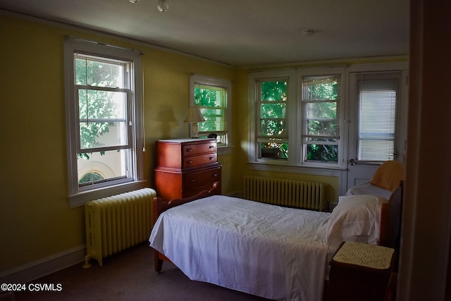 bedroom featuring multiple windows, radiator heating unit, and carpet