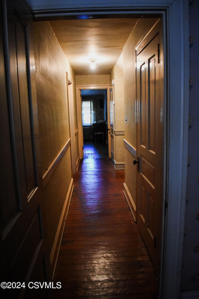 corridor featuring dark hardwood / wood-style flooring