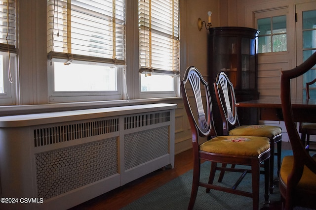 interior space featuring radiator heating unit and dark hardwood / wood-style flooring