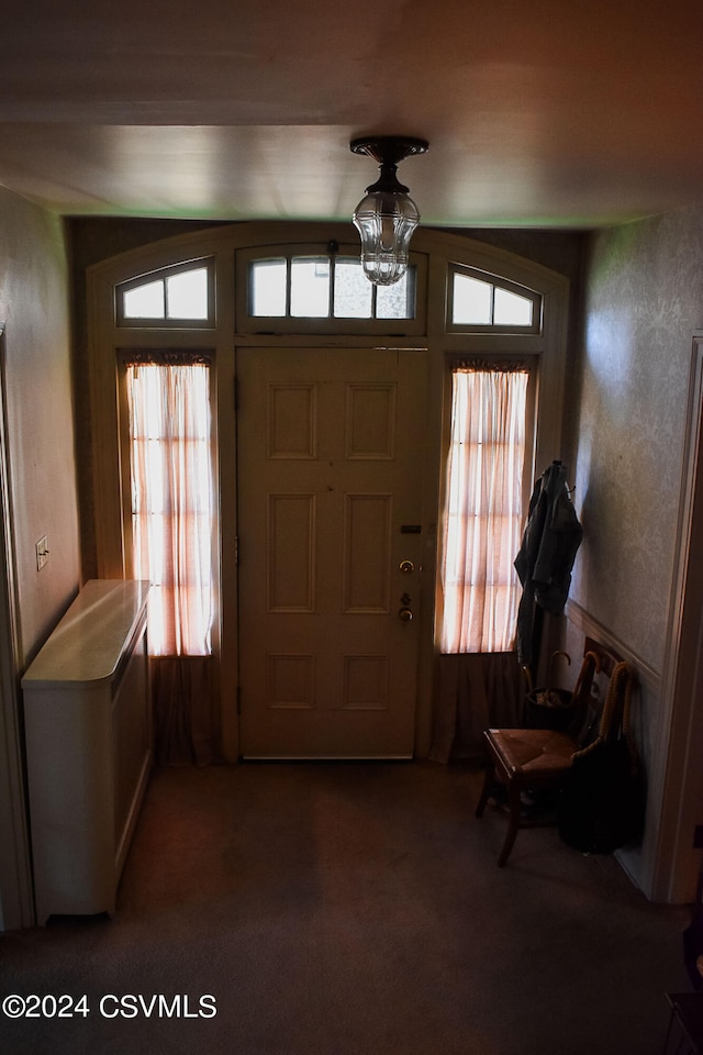 carpeted entrance foyer with plenty of natural light