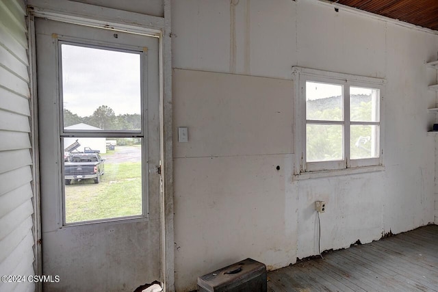 empty room featuring hardwood / wood-style flooring and a wealth of natural light