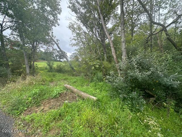 Mowery Rd, Danville, PA 17821