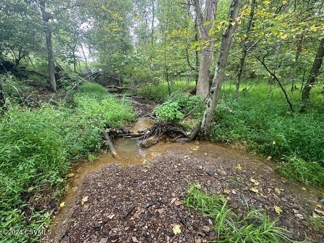 Mowery Rd, Danville, PA 17821