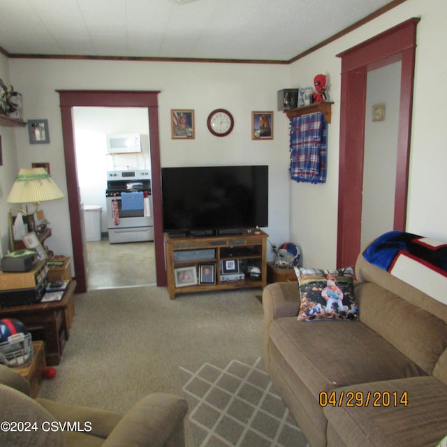 living room with carpet