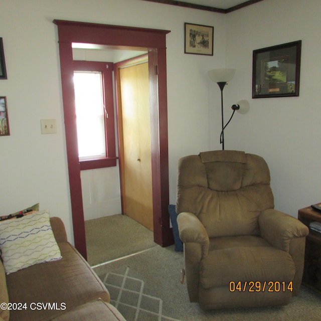 living room featuring carpet flooring