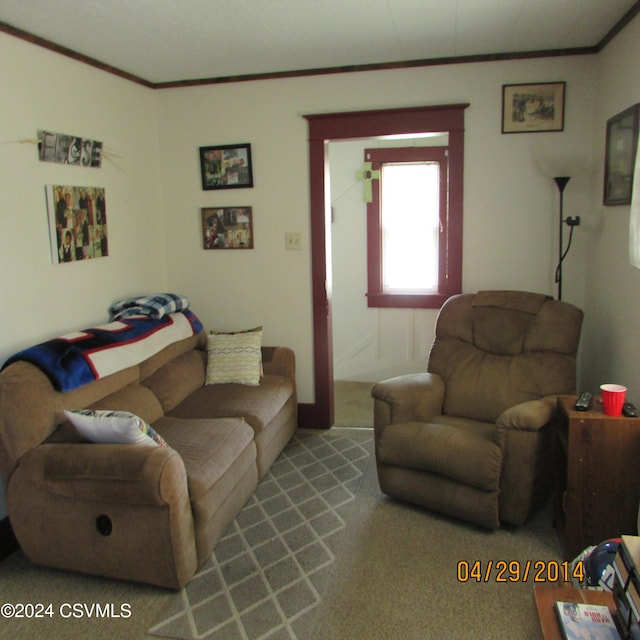 living room featuring carpet flooring and crown molding