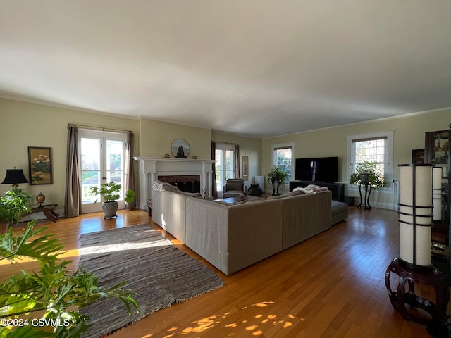 living room with wood-type flooring