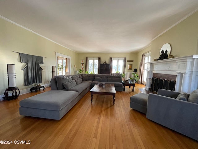 living room with wood-type flooring and crown molding