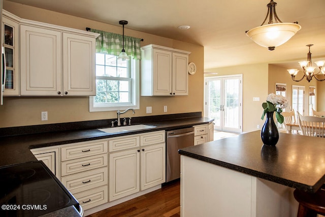 kitchen with sink, plenty of natural light, stainless steel dishwasher, and dark hardwood / wood-style floors