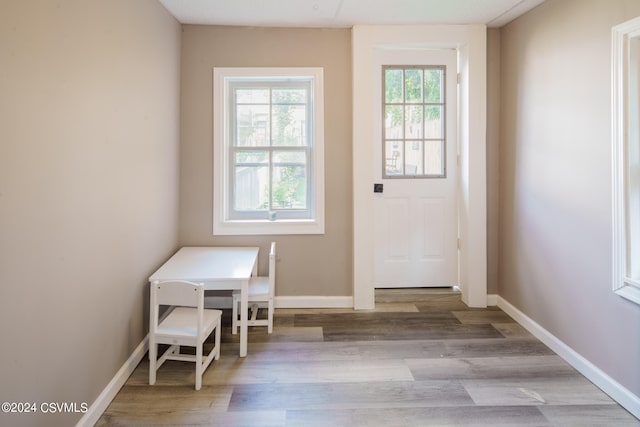 doorway to outside featuring light wood-type flooring