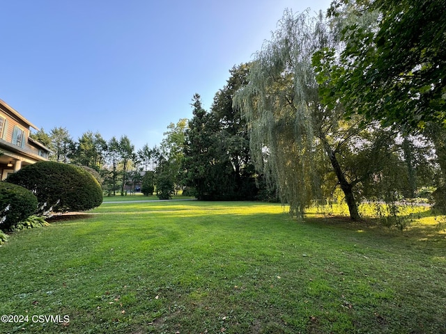 view of yard