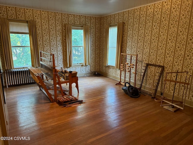 misc room with radiator heating unit, hardwood / wood-style flooring, and a healthy amount of sunlight