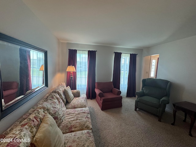 view of carpeted living room