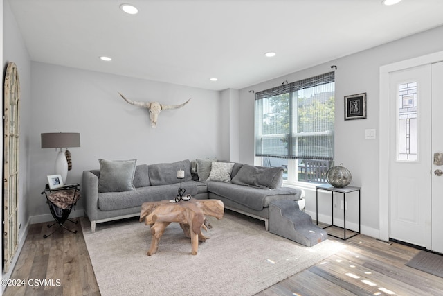 living room featuring plenty of natural light and light hardwood / wood-style floors