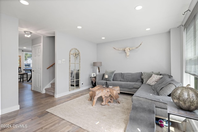 living room featuring hardwood / wood-style flooring