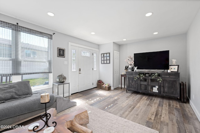 living room featuring light hardwood / wood-style flooring