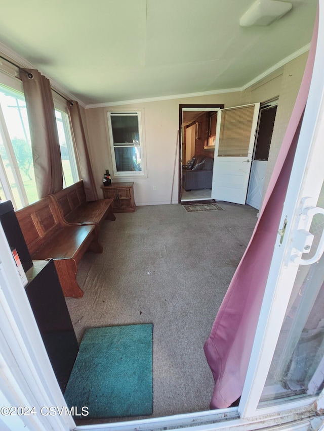 1000 E 6th St, Berwick, PA 18603 - interior space featuring carpet flooring and ornamental molding