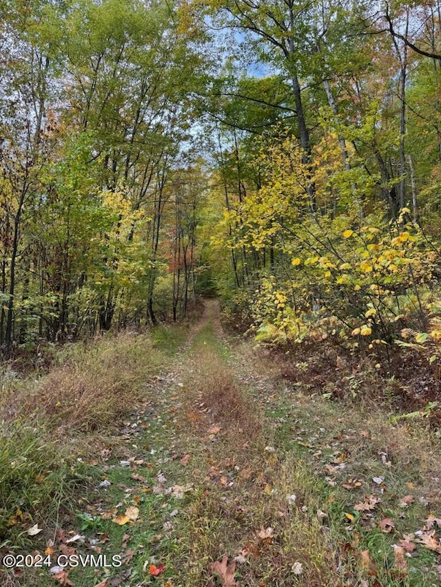 Simonds Hill Ln, Tioga, PA 16946 - view of landscape featuring a forest view