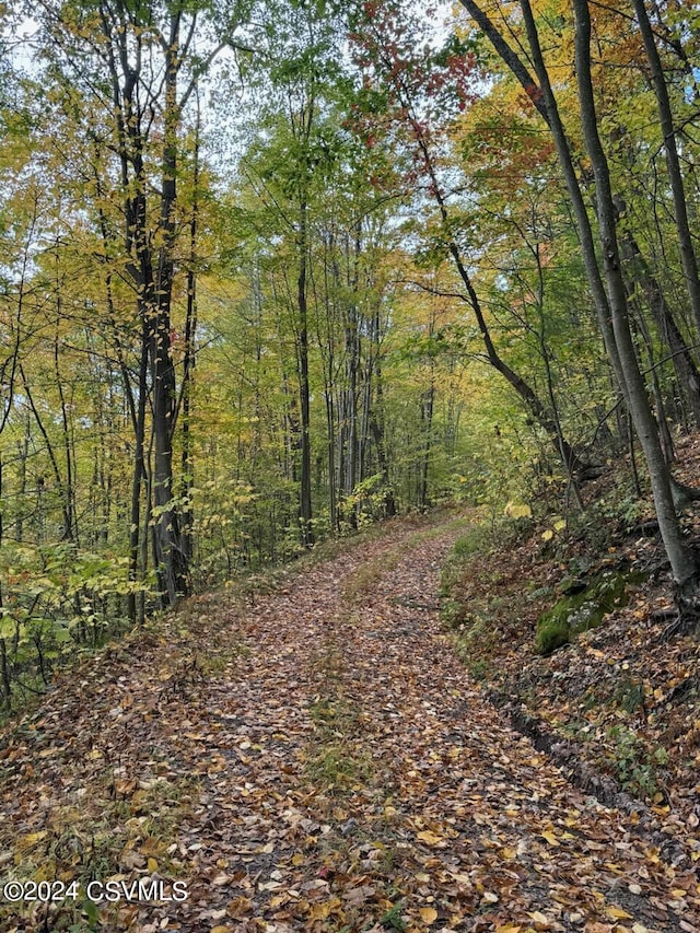 Simonds Hill Ln, Tioga, PA 16946 - view of street with a view of trees