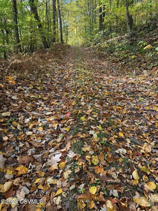 Simonds Hill Ln, Tioga, PA 16946 - view of local wilderness featuring a view of trees