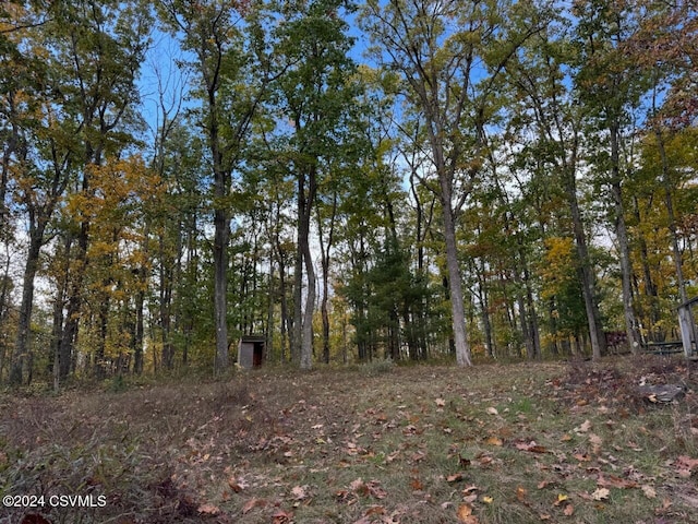 view of local wilderness