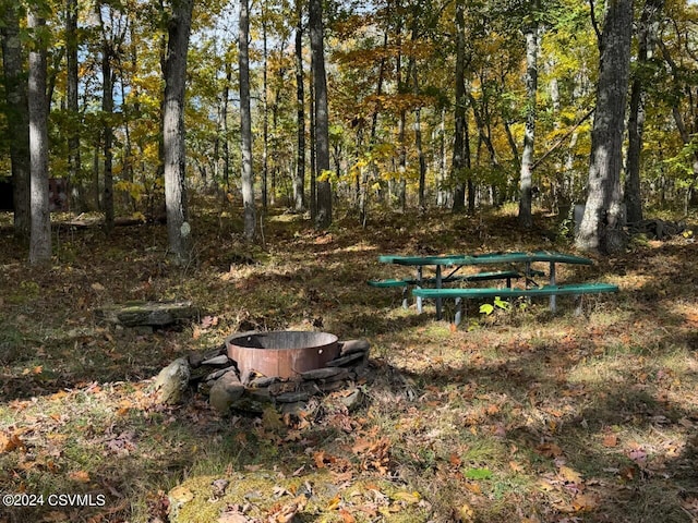 view of yard with an outdoor fire pit