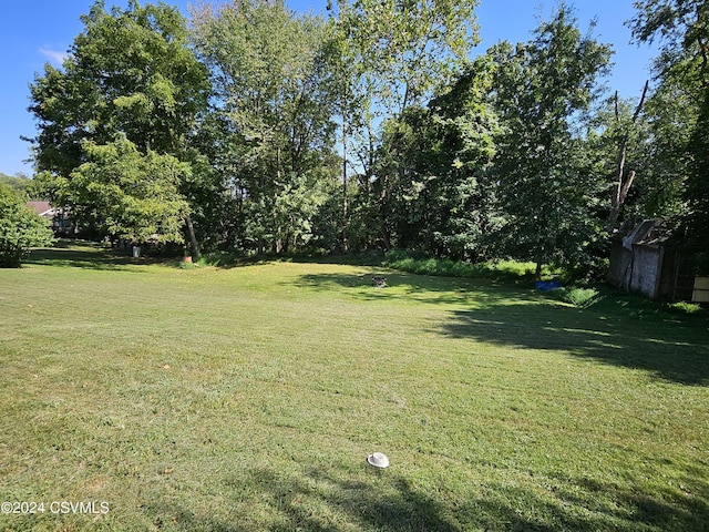 214 Wirt St, Bloomsburg, PA 17815 - photo 4
