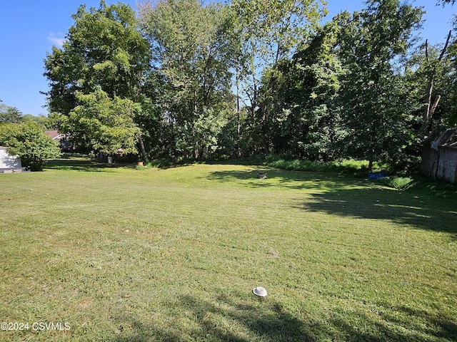 214 Wirt St, Bloomsburg, PA 17815 - photo 5